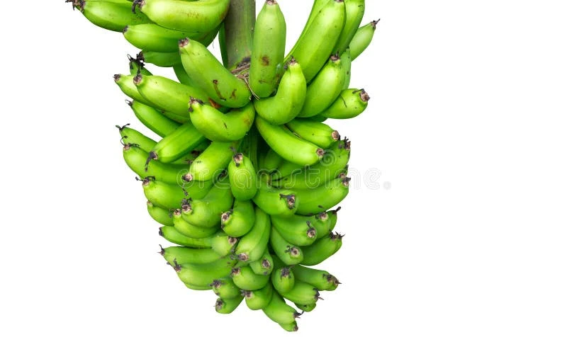 Bananas (dozen)
