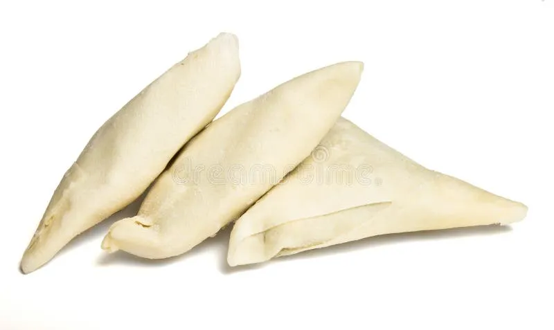 Frozen Samosa (10pcs)